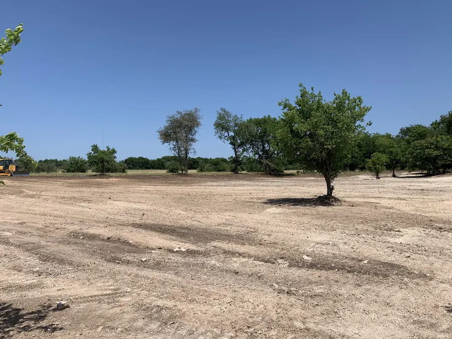 Cleared field with a single tree left standing in the open