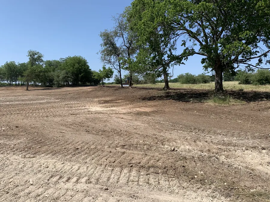 Wide cleared ground with a large shade tree kept at the edge
