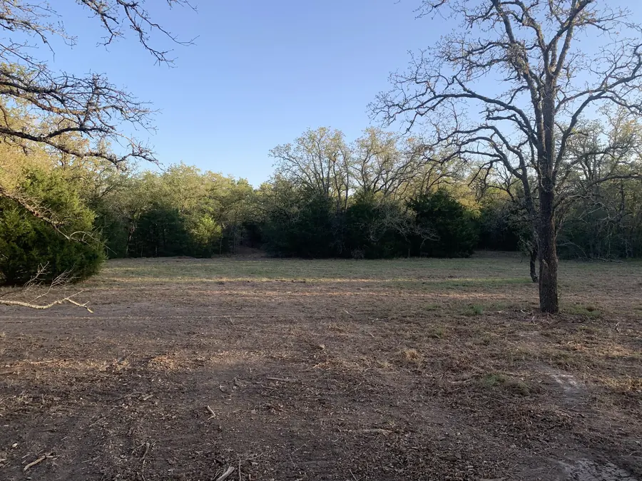 Cleared ground along a tree line, with a big oak left standing