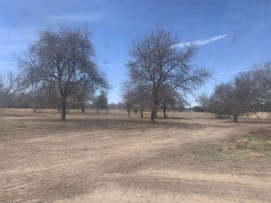 Cleared pasture with bare trees left standing in open ground