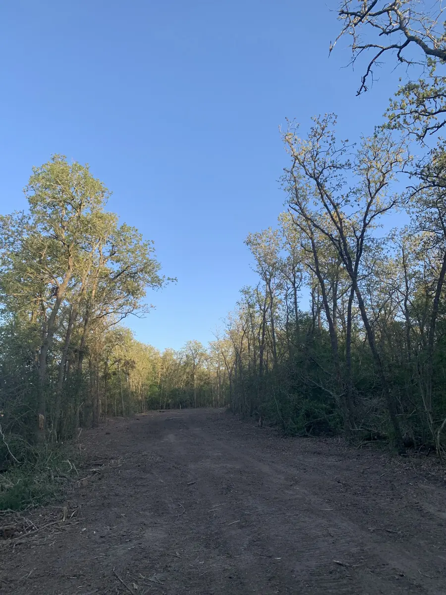 Cleared lane cut through dense woods