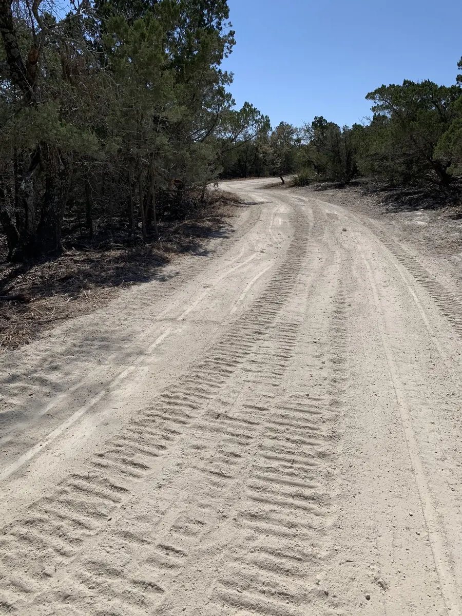 Graded road with fresh tire tracks curving through woods