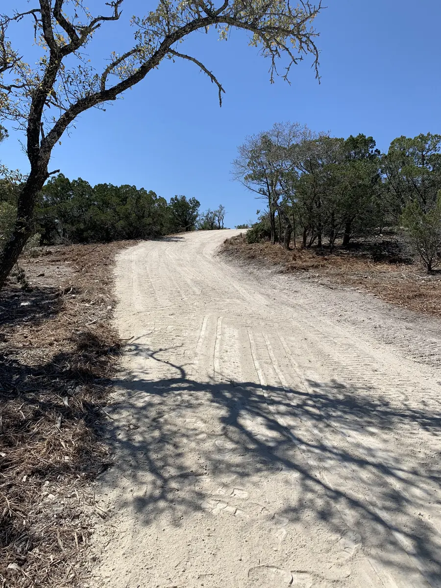 Graded road running past a leaning oak toward wooded hills