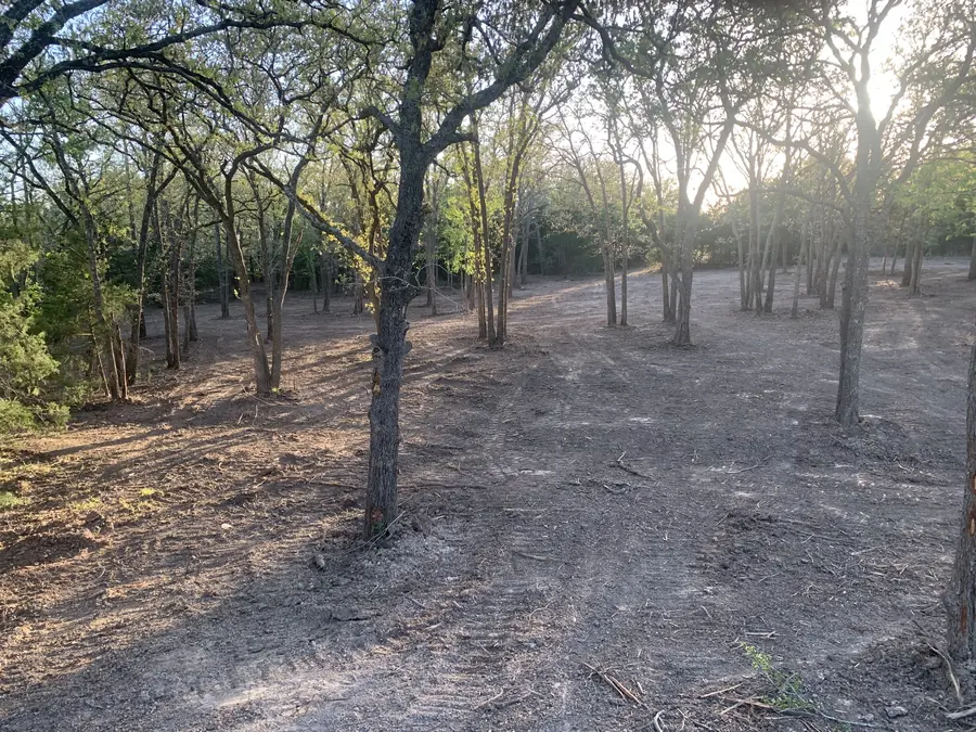 Open ground under trees after the brush was cleared out